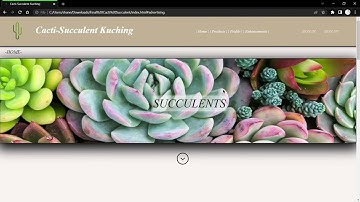 COS10026 Assignment 1 Video