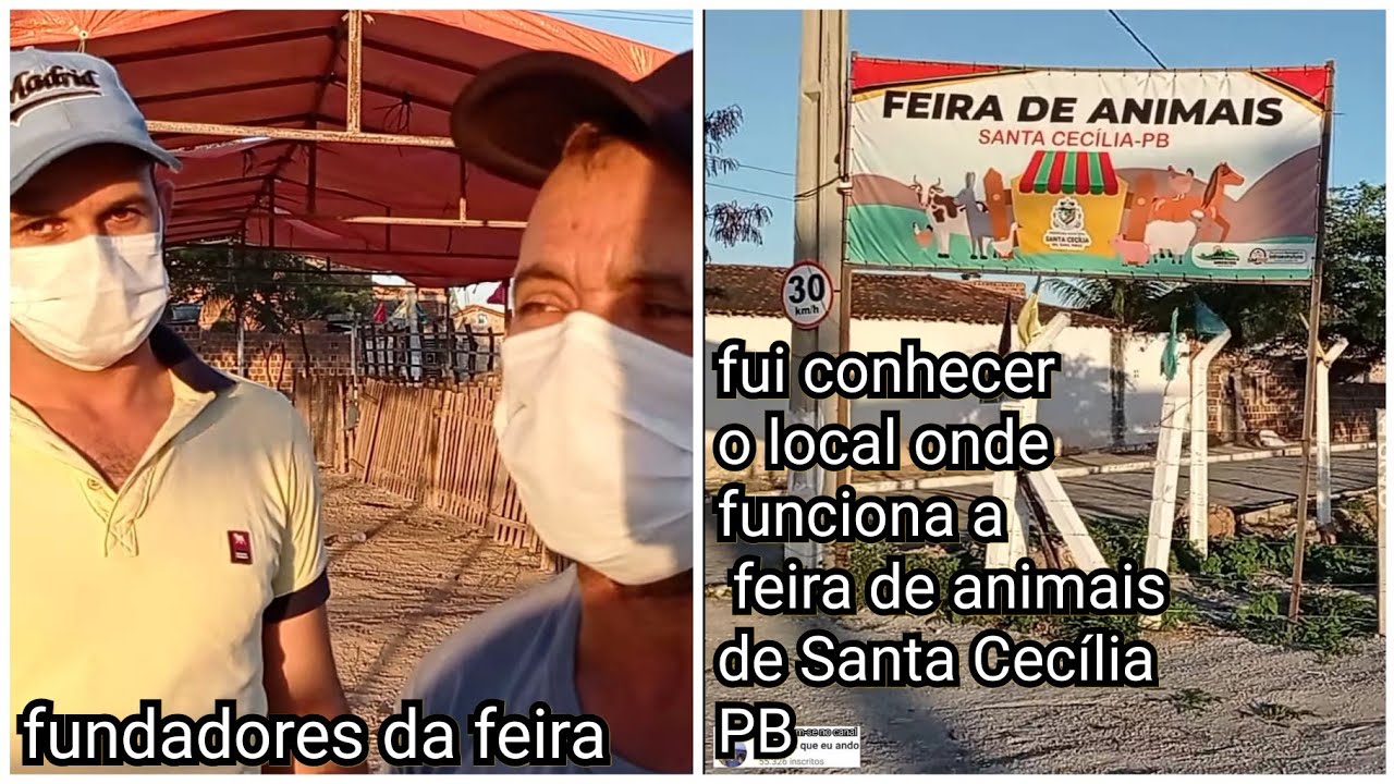 feira de animais de Santa Cecília PB fui conhecer o local onde funciona a feira