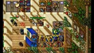 Tibia Arcania Maczupikczos pking
