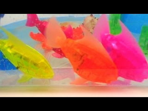 Learning Sea Animal Names Shark Toys Live Robot Fish Dory Ariel Learn Colors Children Kids