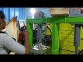Areca Plate Manufacturing| Areca Machine Manufacturer| Profit Business| Rs. 40000 Monthly Income