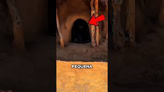 Essas Portas Não São Pequenas À Toa