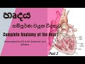 Complete Anatomy of the Heart | හෘදයේ සම්පූර්ණ ව්යුහ විද්යාව | රුධිර සංසරණ පද්ධතිය | Part 2