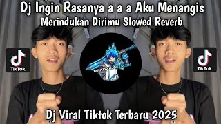 DJ MENAHAN LUKA INI | DJ INGIN RASANYA A A AKU MENANGIS MERINDUKAN DIRIMU VIRAL TIKTOK TERBARU 2025