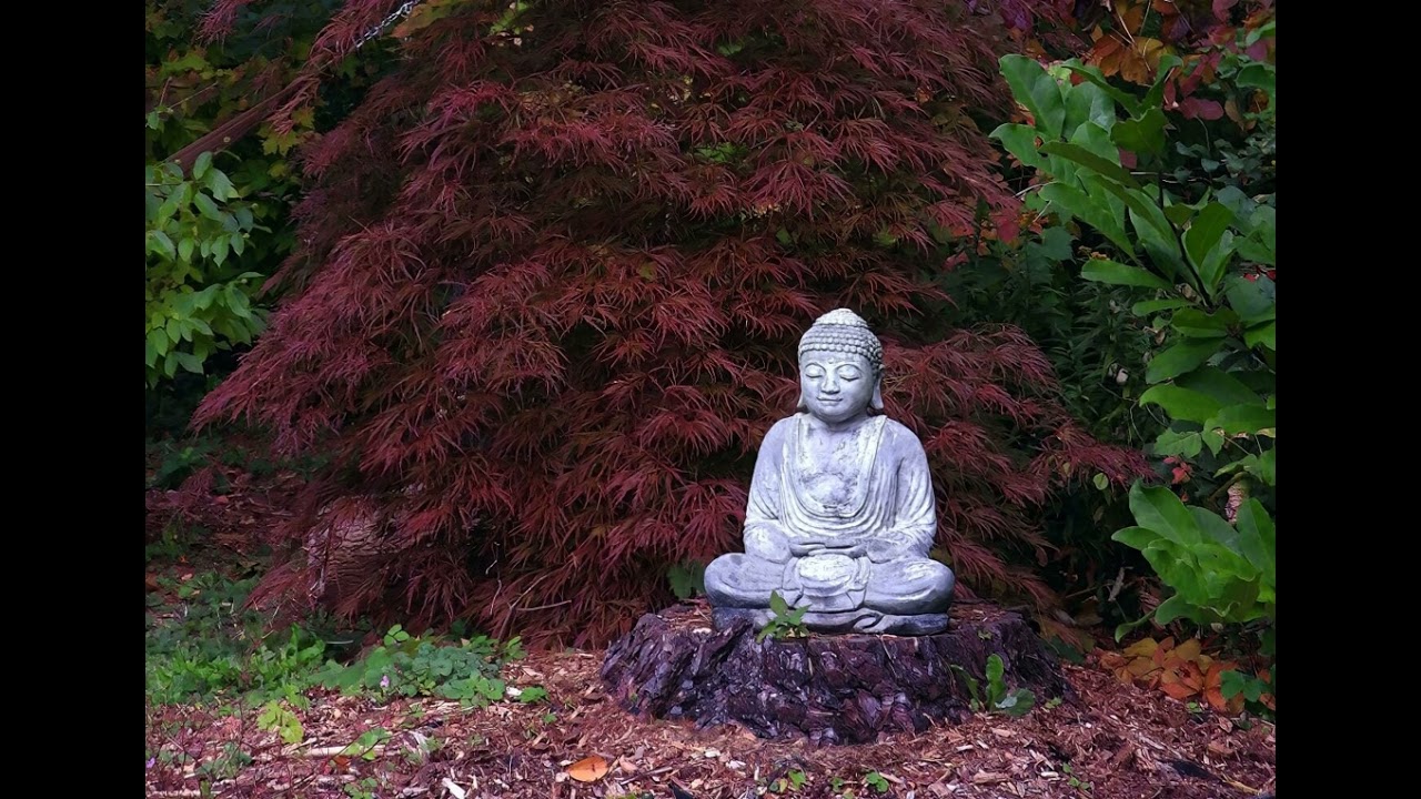 BIPOC Recovery Dharma: A meditation-based path toward healing