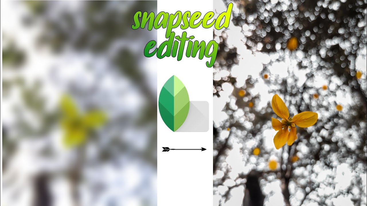 Snapseed editing tutorial 2021 | Mobile photography