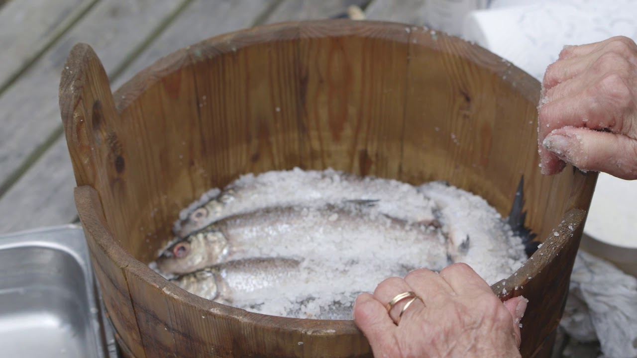 Siian tönkkösuolaus (utan text, på finska)