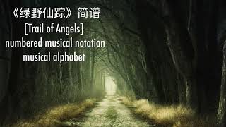 Trail of Angels - Native flute music with notes || 绿野仙踪 - 印第安笛子动态乐谱