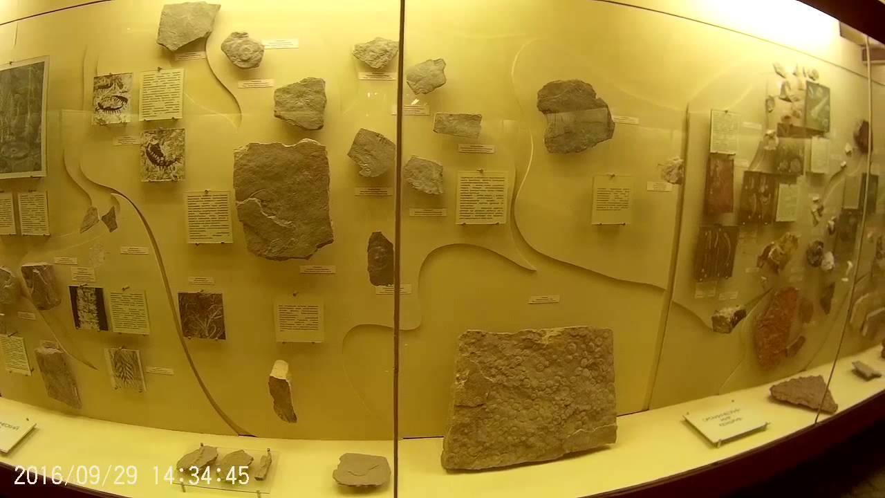 Московский палеонтологический музей 29.09.2016 года - YouTube
