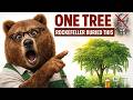 ONE TREE = FOOD, MEDICINE AND FUEL — Rockefeller Made Sure You'd Never Plant It