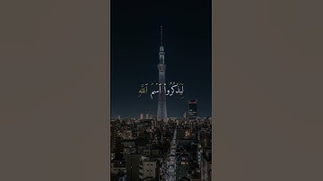 🤍📿تقوى القلوب☘️💚📖سورة الحج|الآية{32}|