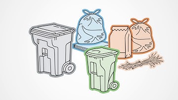 Waste Services | Your Collection Schedule