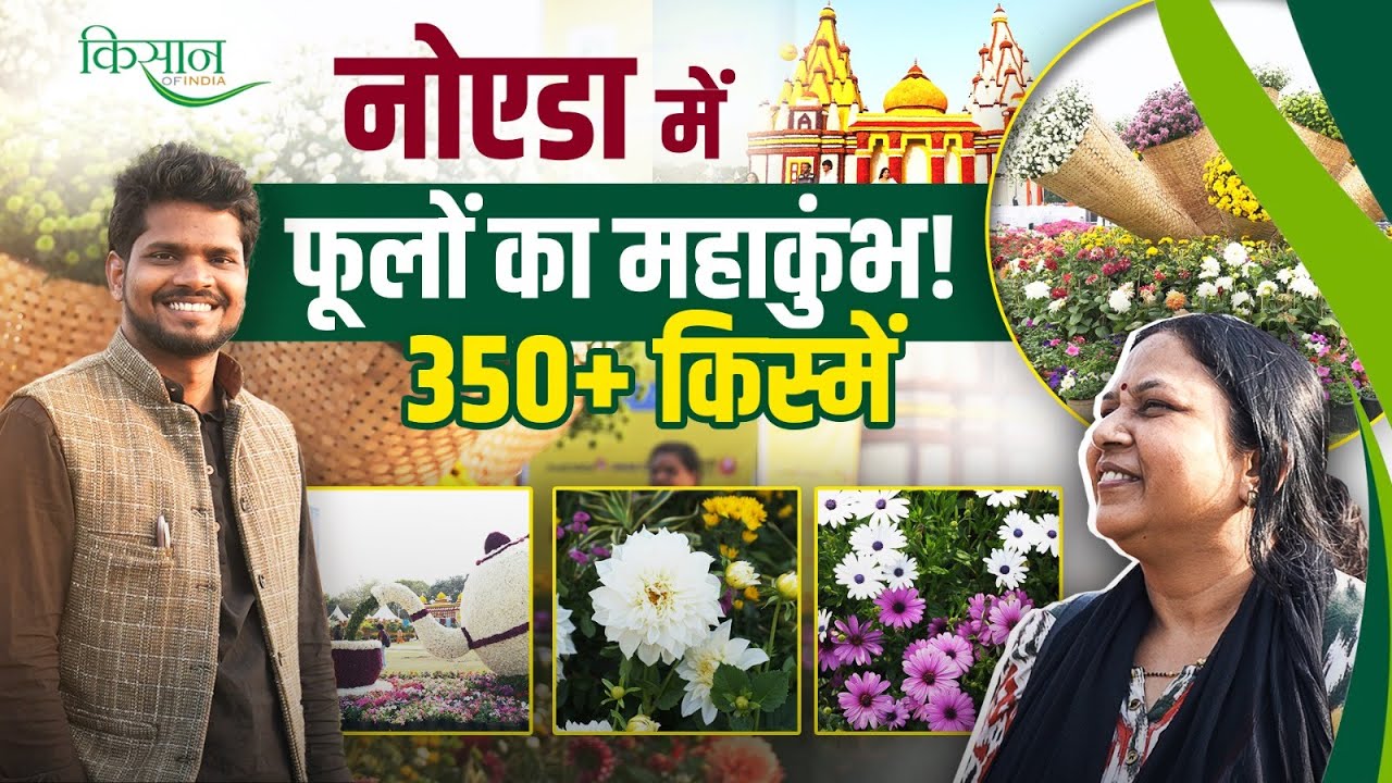 Noida Flower Show 2025 में लगी flowers की कई varieties की प्रदर्शनी | Vasant Utsav