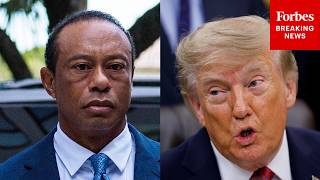 Just In Trump Reacts To Tiger Woods Taking Dui Plea Deal In Florida