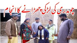 cookie Numberdar new funny videos dibri ke Chitral By Harappa TV HD