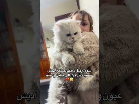 شوفو نظراتو معثب     