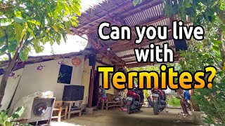 This is the place where SEFTV live!