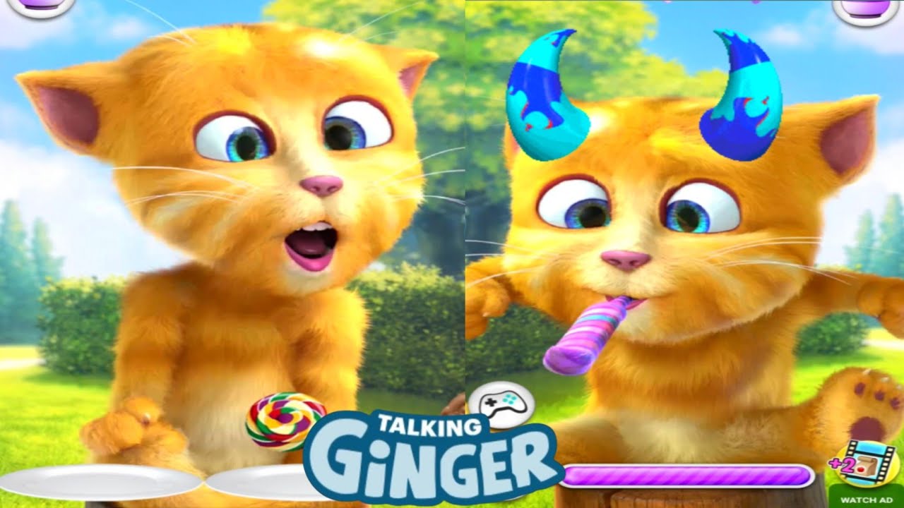 Talking ginger funny videos 😻🤠💯 ginger game | my talking tom | talking ginger. Videos 