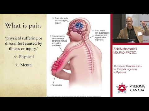 Marijuana for Pain & Neuropathy