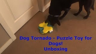dog tornado puzzle