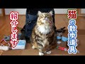 【たびの冒険】猫の散歩道具紹介 [サイベリアン]