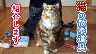 【たびの冒険】猫の散歩道具紹介 [サイベリアン]