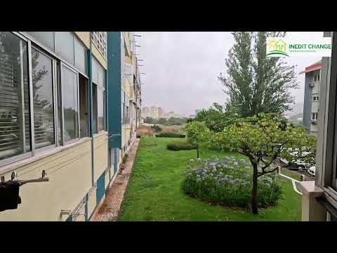 Video Rua Ilha da Madeira Olival Basto