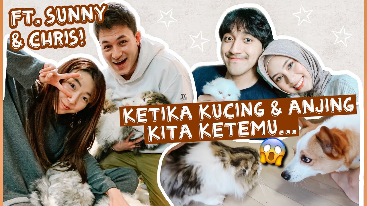 DAILY VLOG 🇰🇷 PERTAMA KALI MAIN KE RUMAH KAK SUNNY BARENG KUCING AKU 😱 PAS KETEMU DOGGO... 🤣