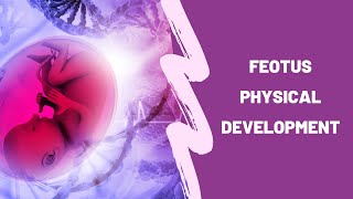Fetus Physical Development