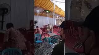 Sang Banteng ngamuk, setelah melihat hasil Hitung Cepat... 😀