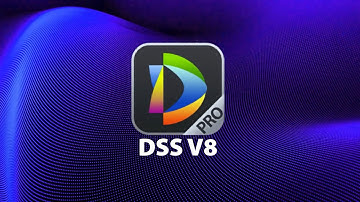 02 DSS V8 Make Your Security Easier