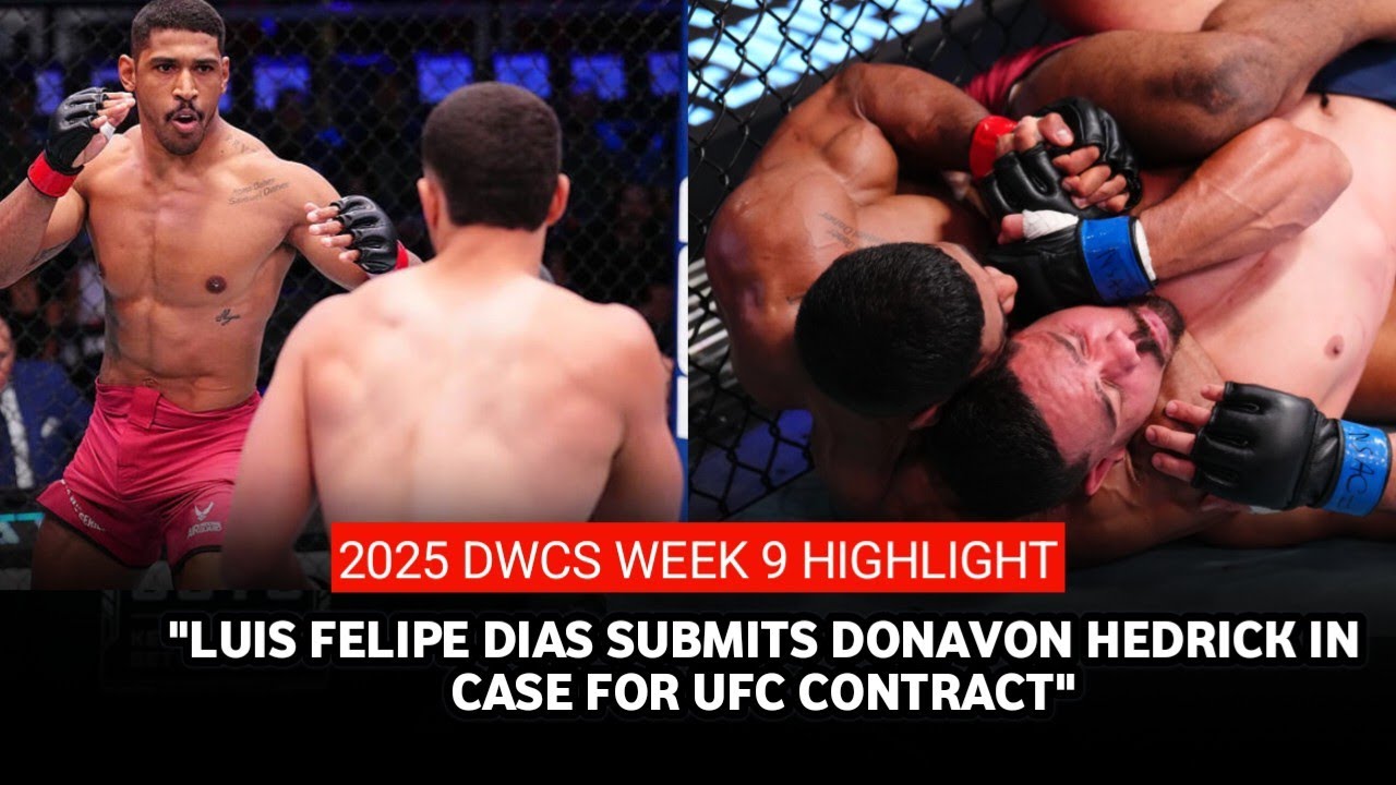 Результаты DWCS 85: Луис Фелипе Диас уступил Донавону Хедрику в деле о контракте с UFC