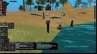 P99 Enchanter - Grouping in Oasis