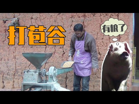 Click to Play Video