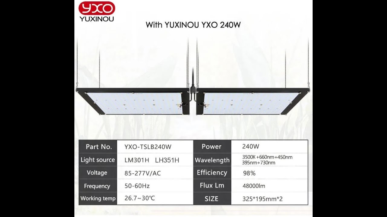 обзор  китайской светодиодной фитолампы yxo yuxinou 240w