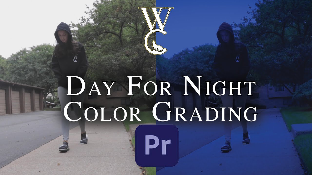 Color Grading Day for Night