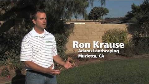 Toro Evolution™ Introduction