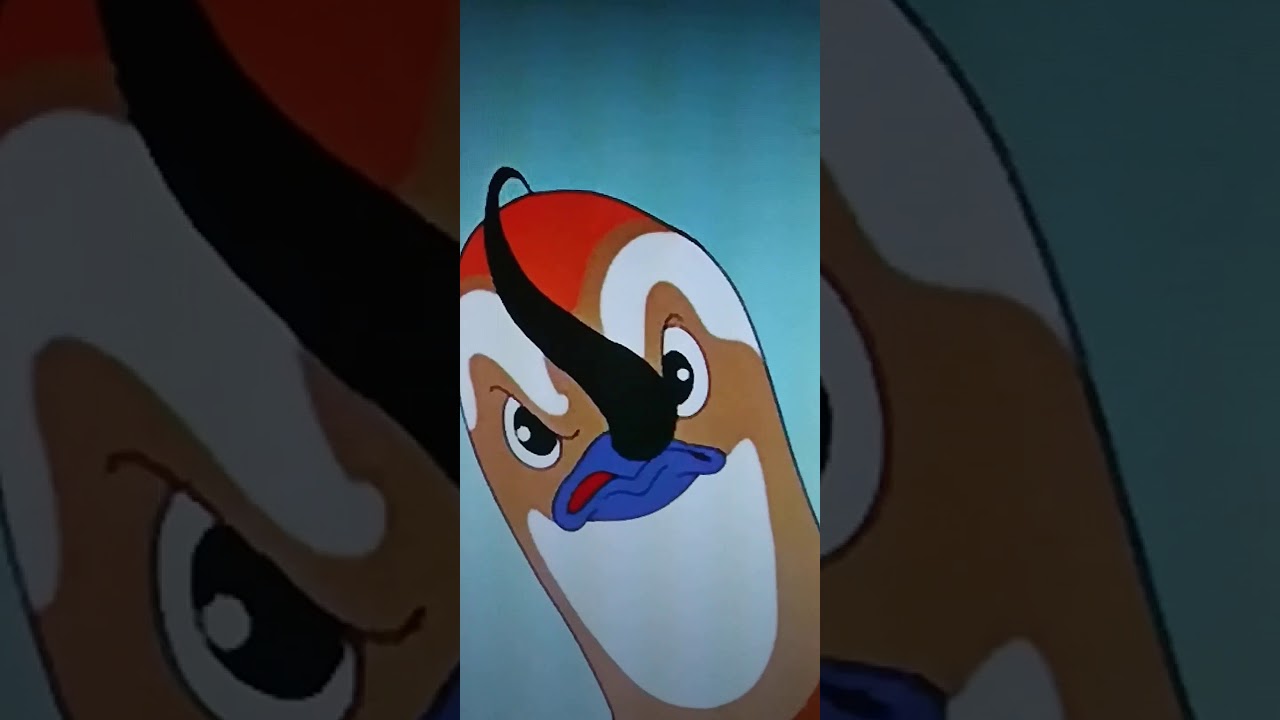 the hound and the quail Looney tunes