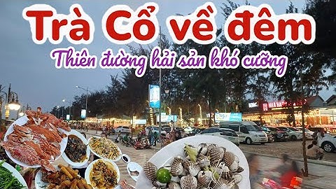 Bãi biển Trà cổ lung linh về đêm - Thiên đường hải sản tươi ngon..IGiáo Sư tung tăng