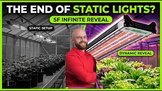 Is Static Lighting DEAD? 💡 The Future of Greenhouse Tech Revealed!