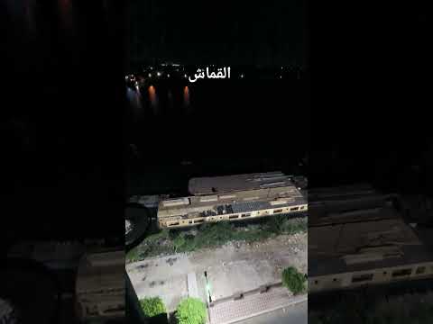 القماش فيلم النمر والانثى بطن الزير