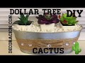 Dollar tree DIY Decoracion con suculentas cactus 🌵