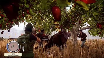 State of decay( gone wrong )