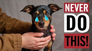 10 Everyday Behaviors Your Dog Will Never Forgive You For
