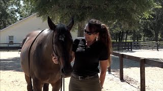 Bareback Riding: Myths, Misconceptions & Fallacies: Part I Net Worth