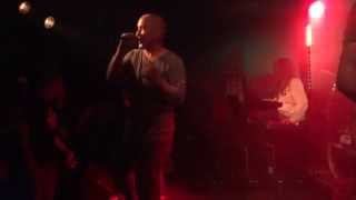 Dan Reed Network-Tiger in a dress-Hamburg Oct 17th 2013