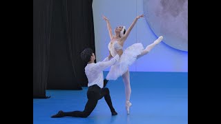 2nd cast Schwanensee EB Sommer Theater park 13  July 2024 Claudia u. Benji