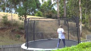 2013 Tramp Sampler