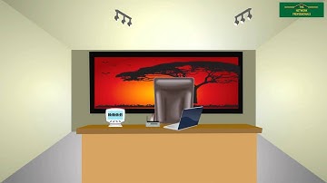 Network Professionals | Solly Labs