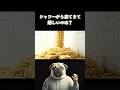 シャワーから出てきて嬉しいのはどれ?